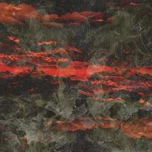 Aestees : Voluptuous Insanity